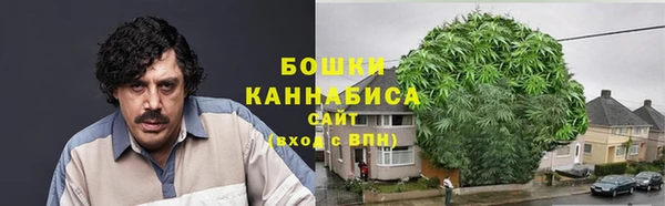 mdpv Краснослободск